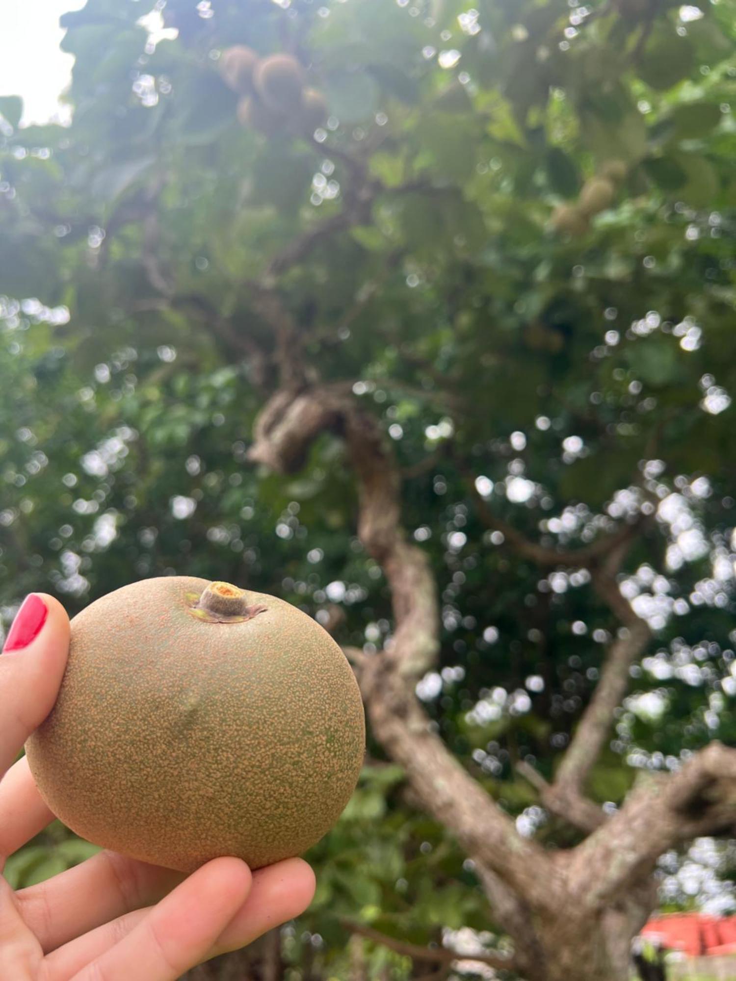 Pousada Ceres 32 Chapada dos Guimaraes Ngoại thất bức ảnh
